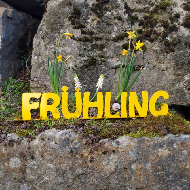 Schriftzug Frühling